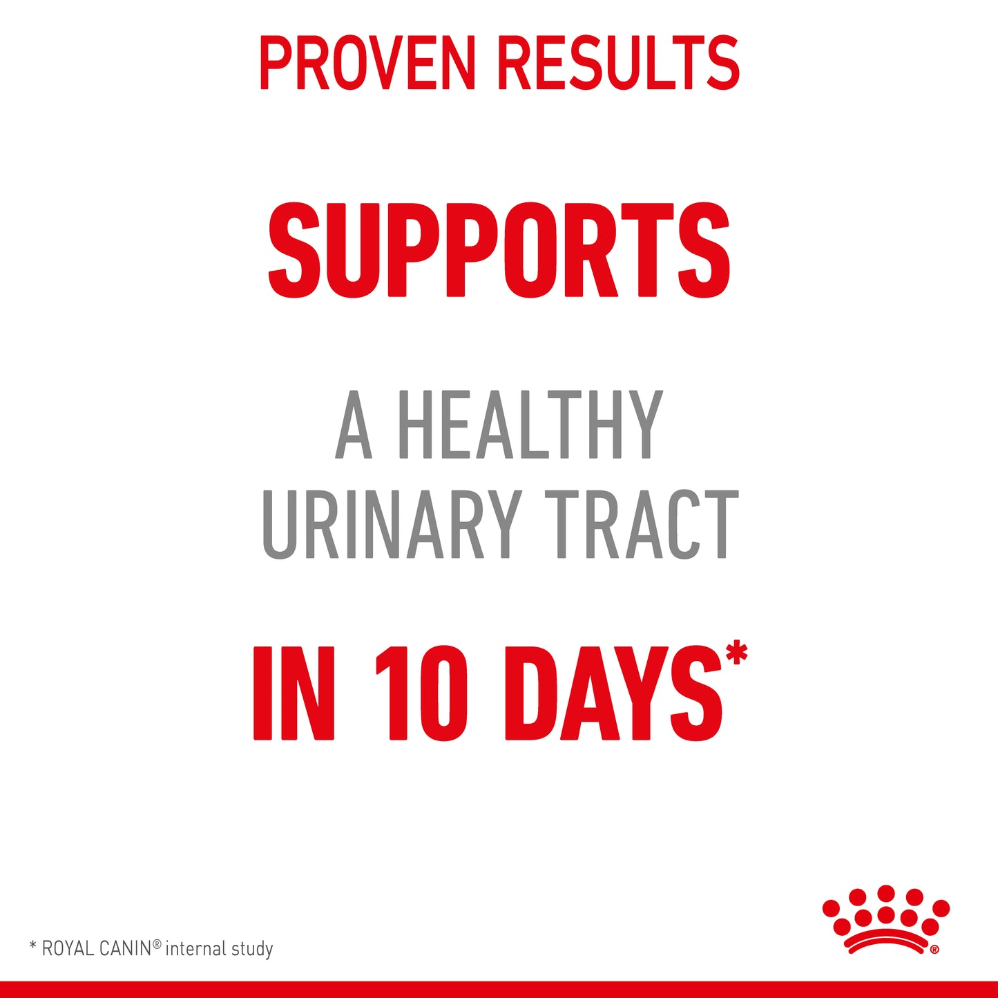 Royal Canin Cat Urinary Care Dry Cat Food