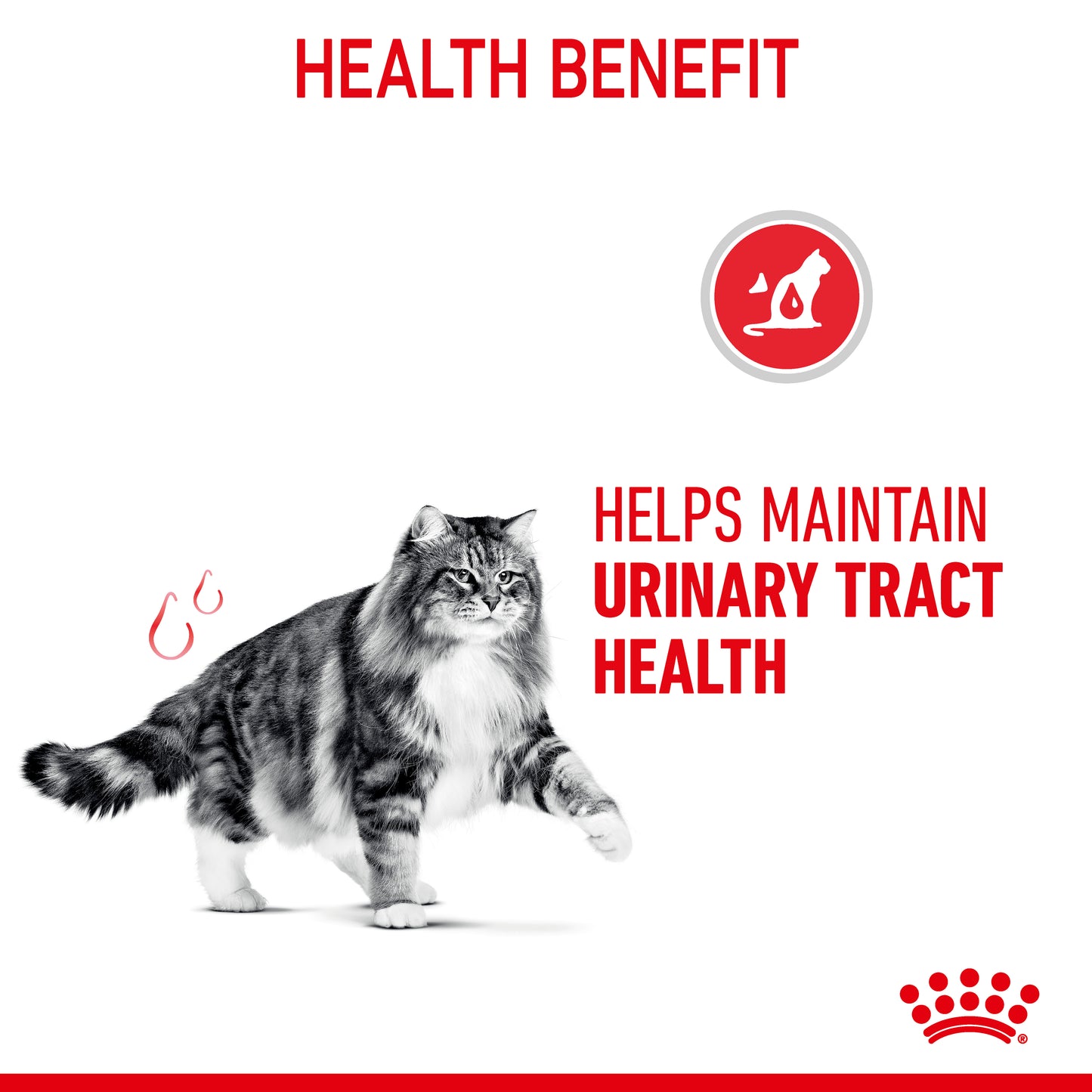Royal Canin Cat Urinary Care Dry Cat Food