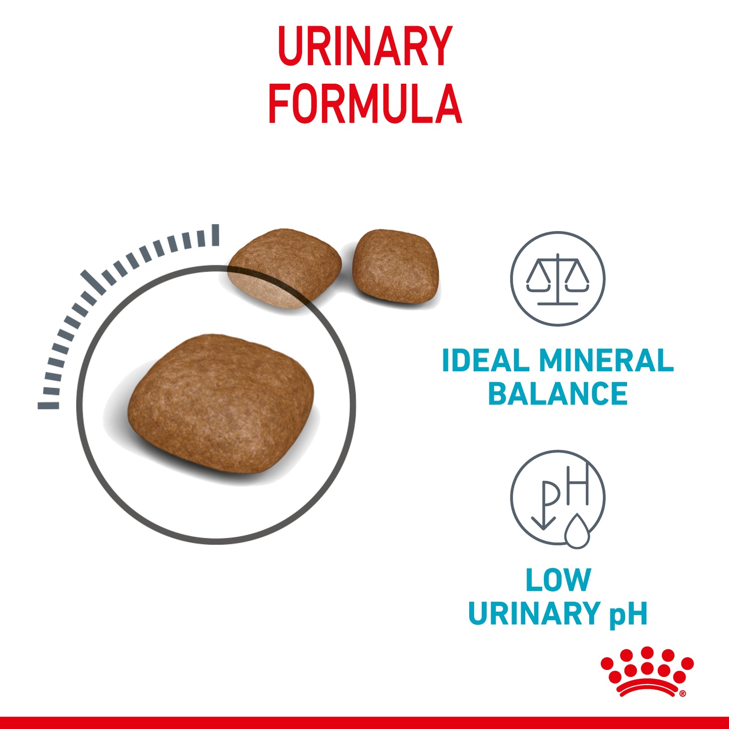 Royal Canin Cat Urinary Care Dry Cat Food