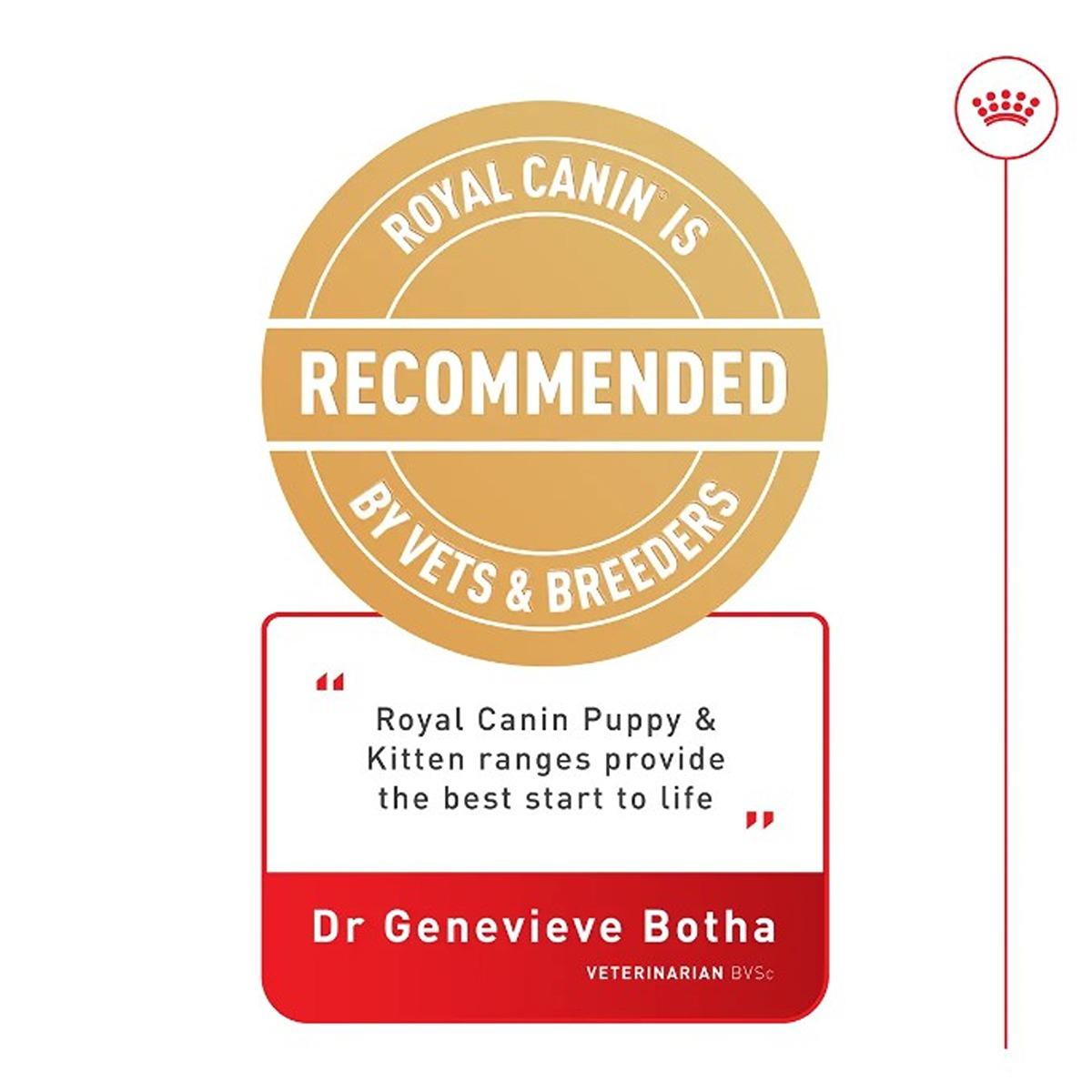 Royal Canin Persian Kitten Dry Cat Food