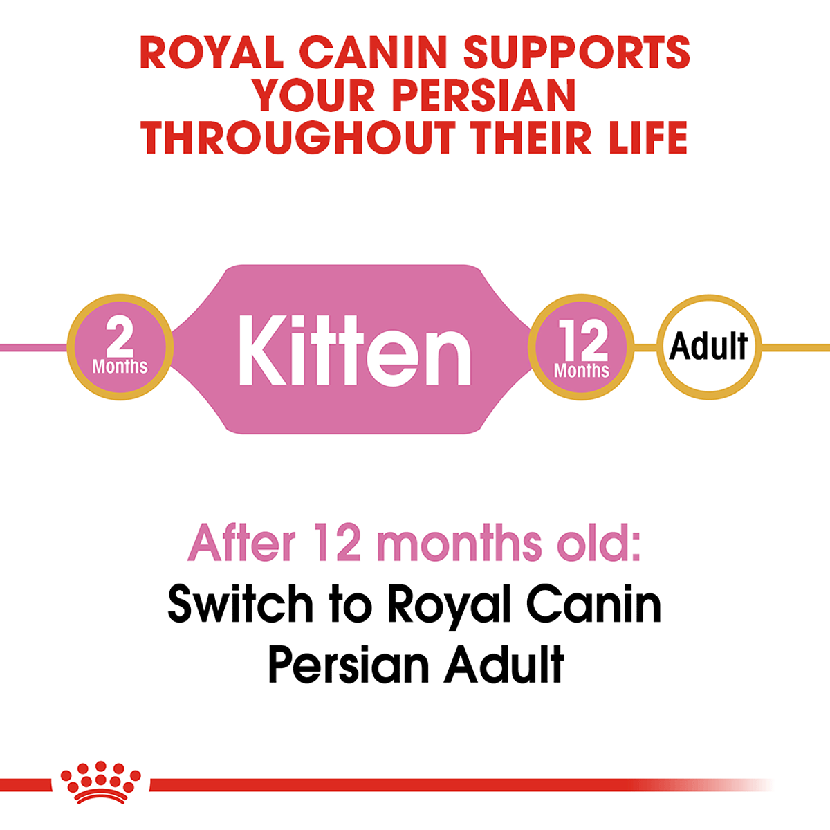 Royal Canin Persian Kitten Dry Cat Food