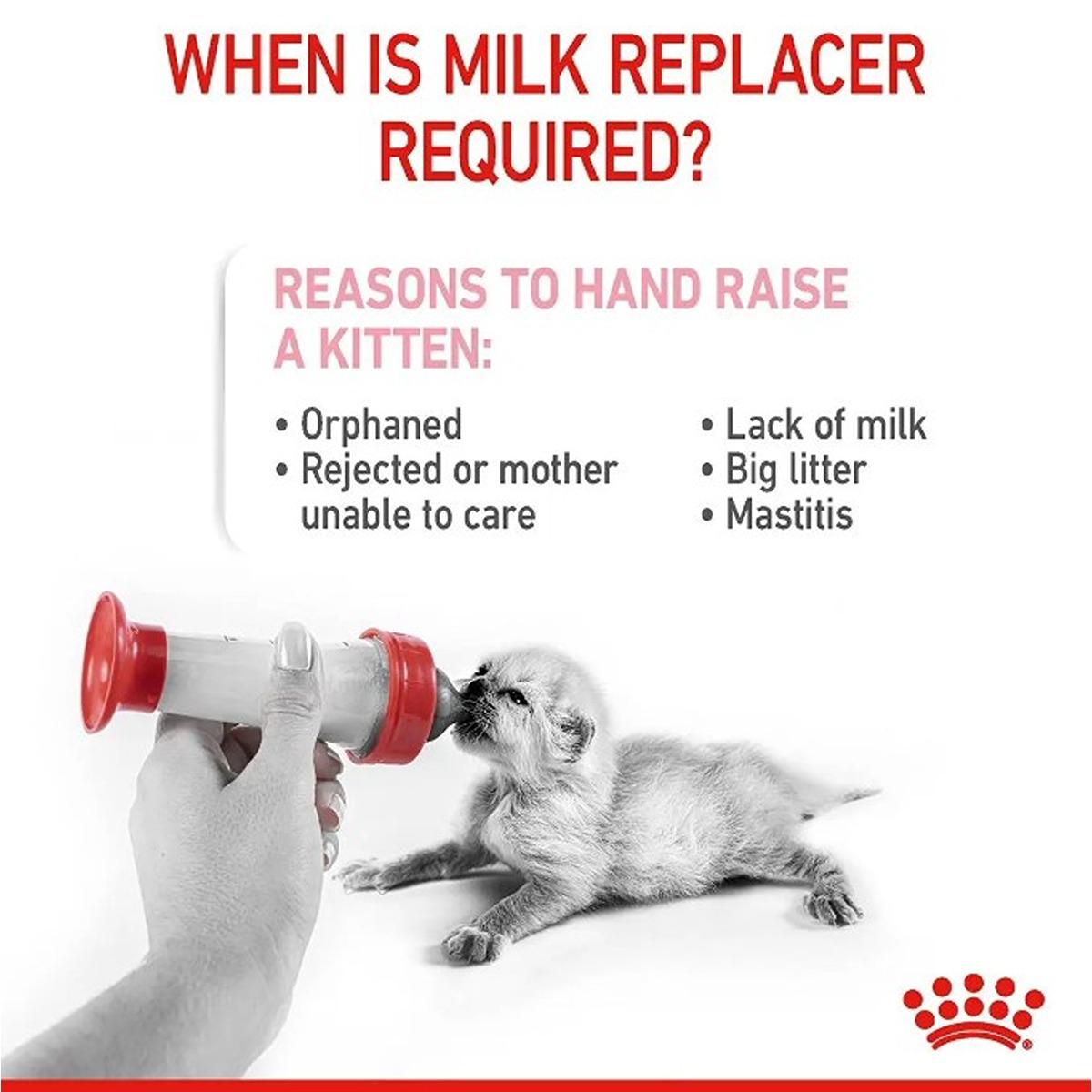 Royal Canin Babycat Milk