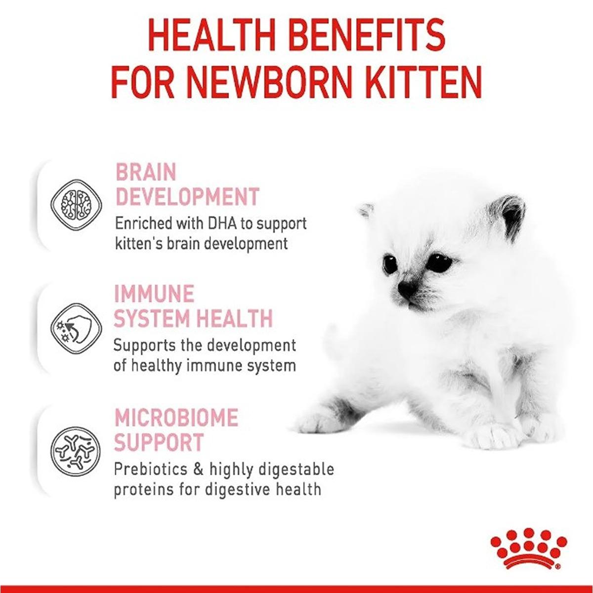 Royal Canin Babycat Milk