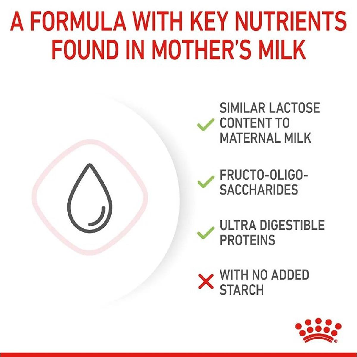 Royal Canin Babycat Milk