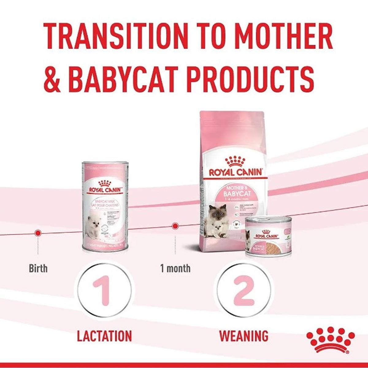 Royal Canin Babycat Milk