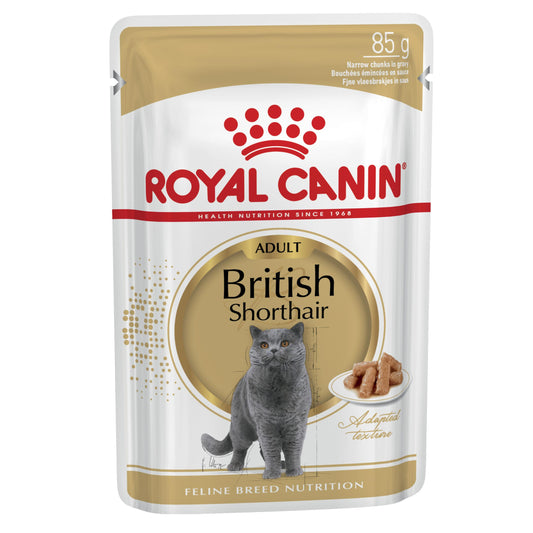 Royal Canin British Short Hair Wet Cat Food