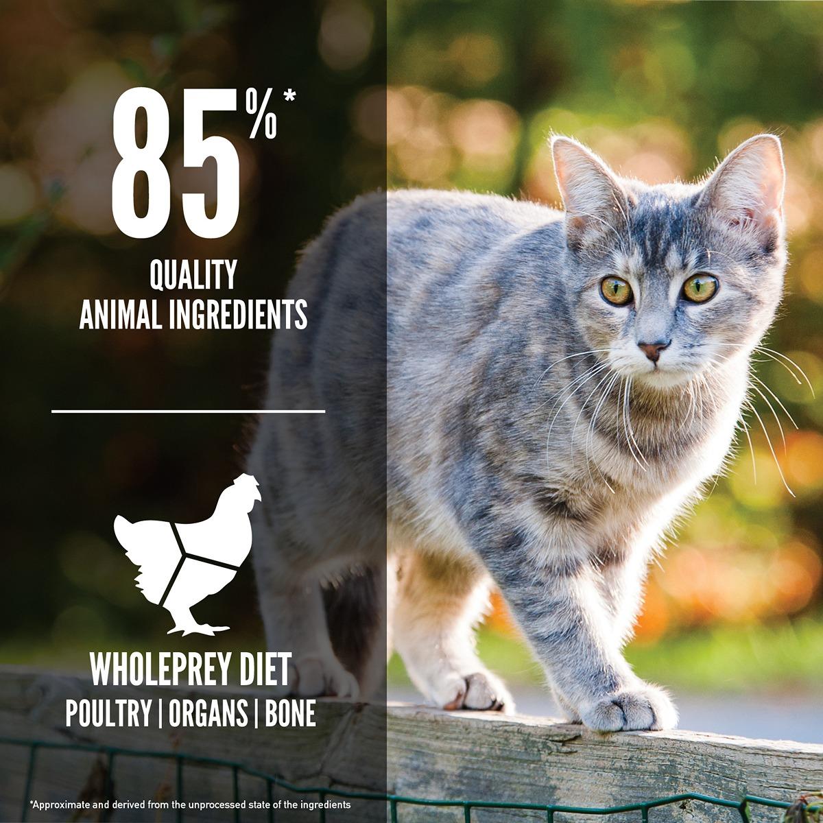 ORIJEN Original Dry Cat Food