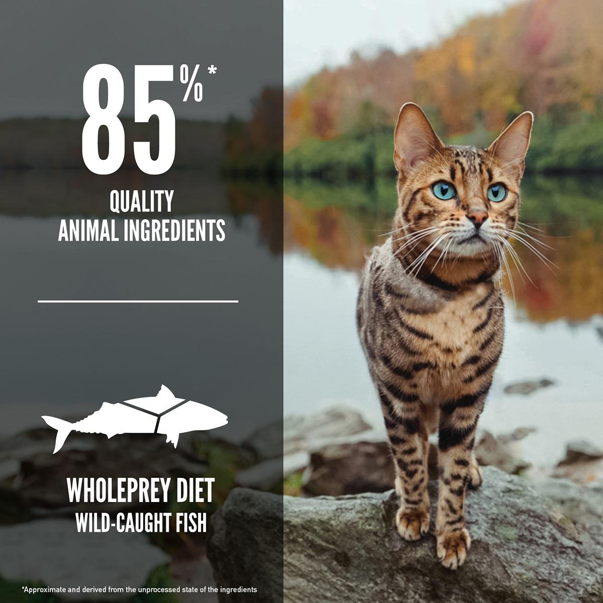 ORIJEN Six Fish Dry Cat Food