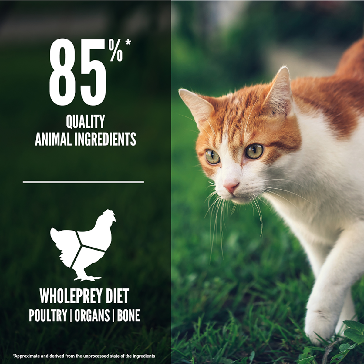 ORIJEN Fit & Trim Dry Cat Food