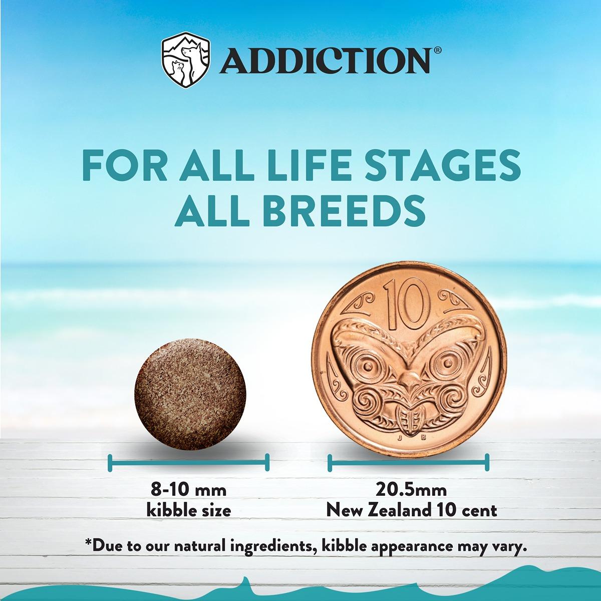 Addiction Salmon Bleu Skin & Coat Dry Cat Food