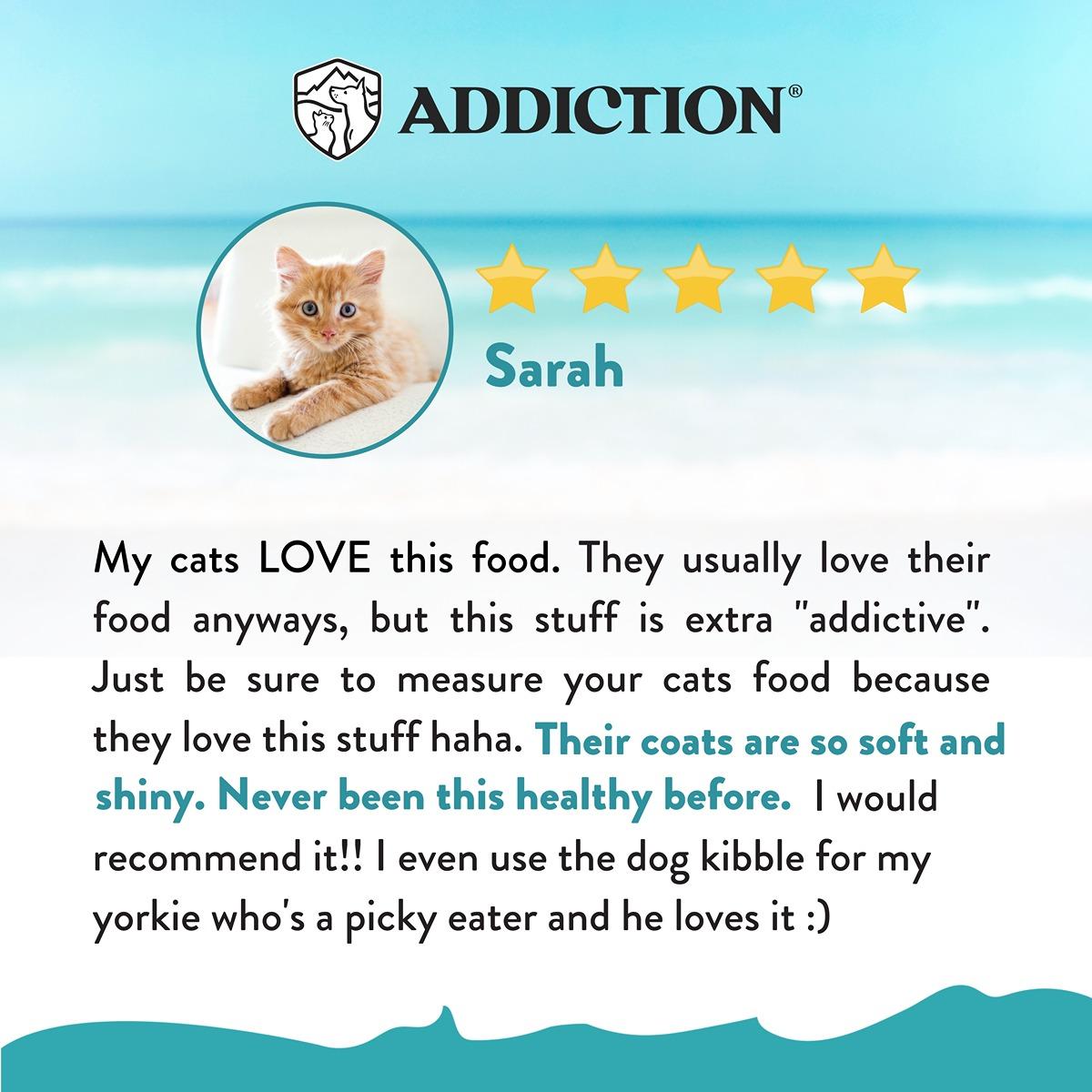 Addiction Salmon Bleu Skin & Coat Dry Cat Food