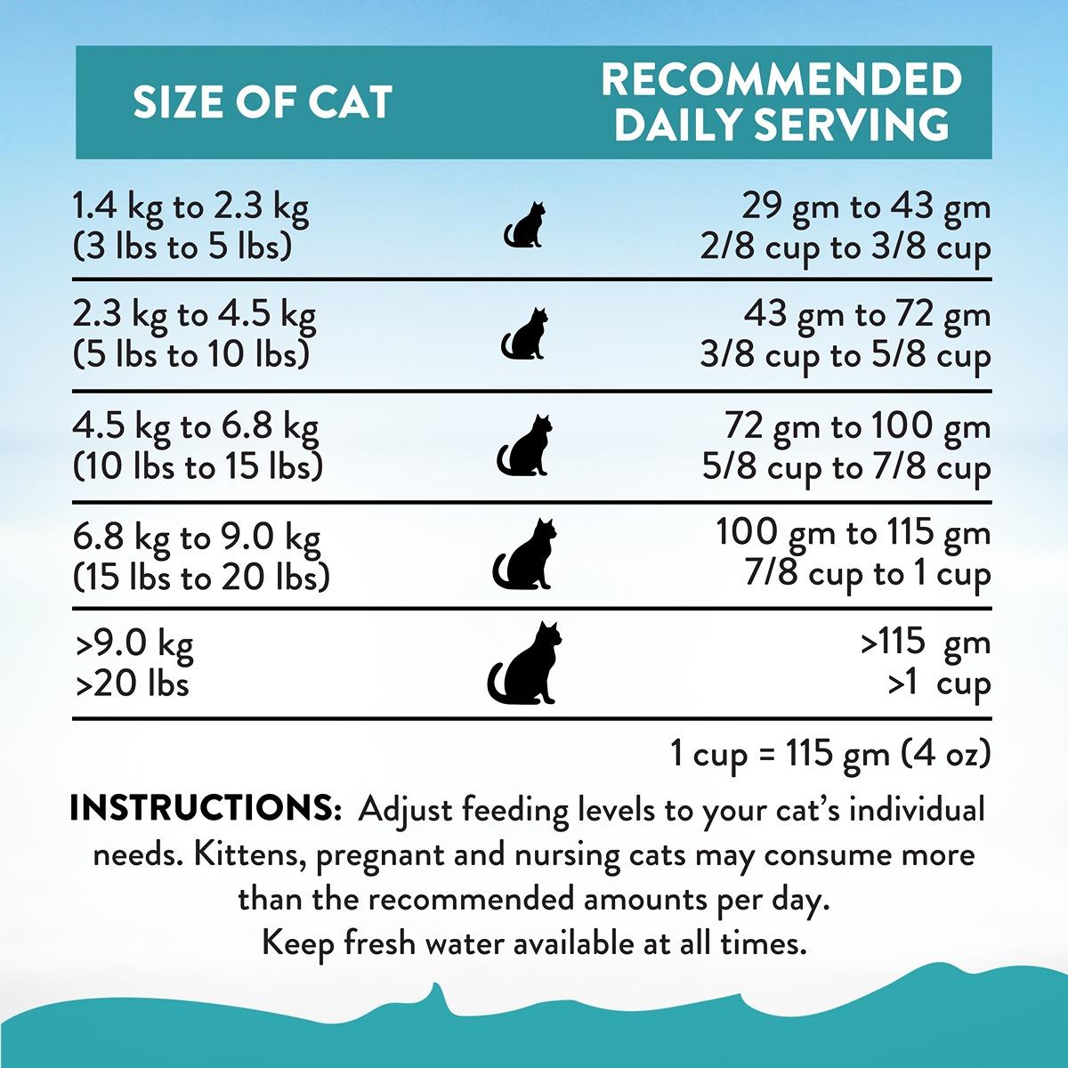 Addiction Salmon Bleu Skin & Coat Dry Cat Food