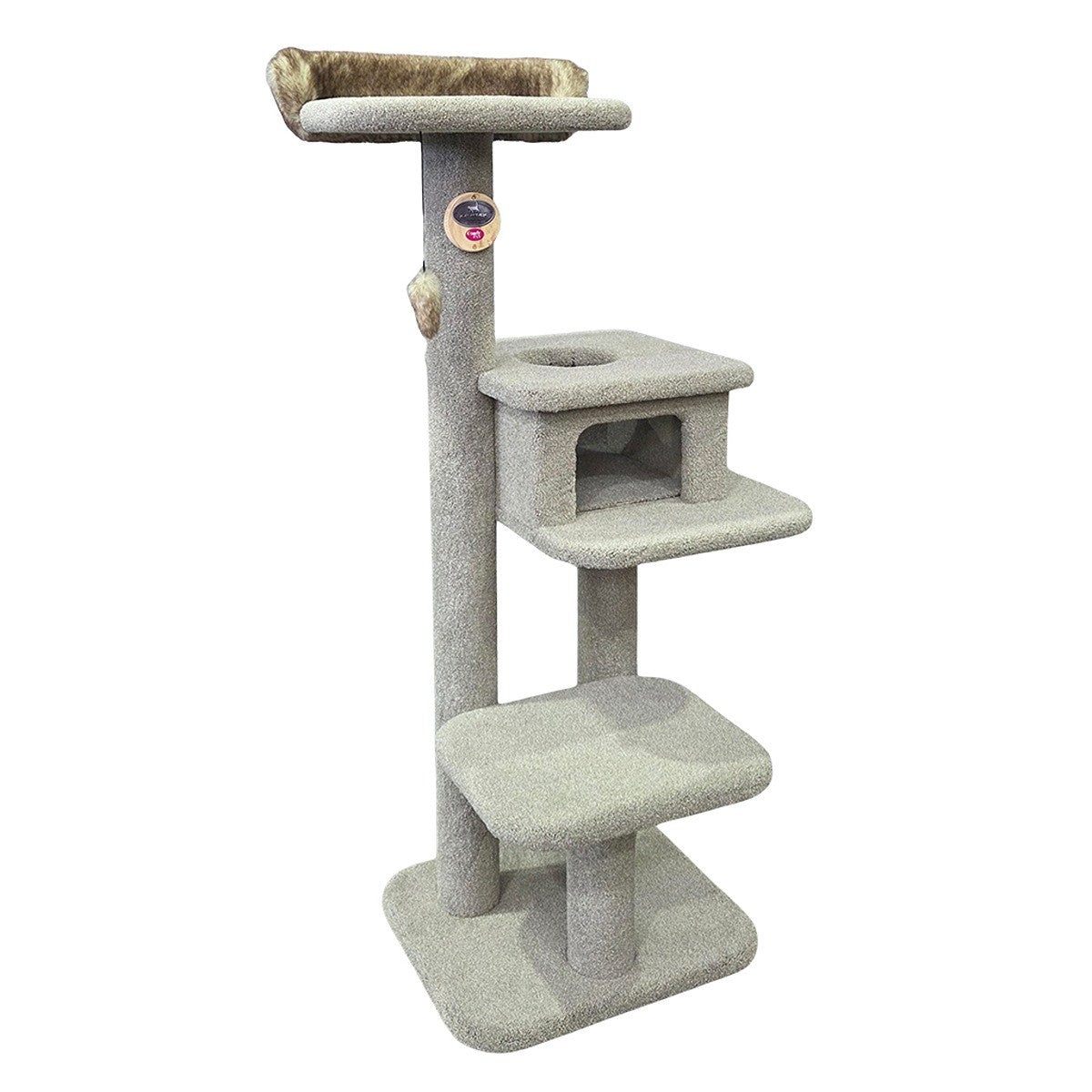 KatAttack Manhattan 3 Level Scratcher