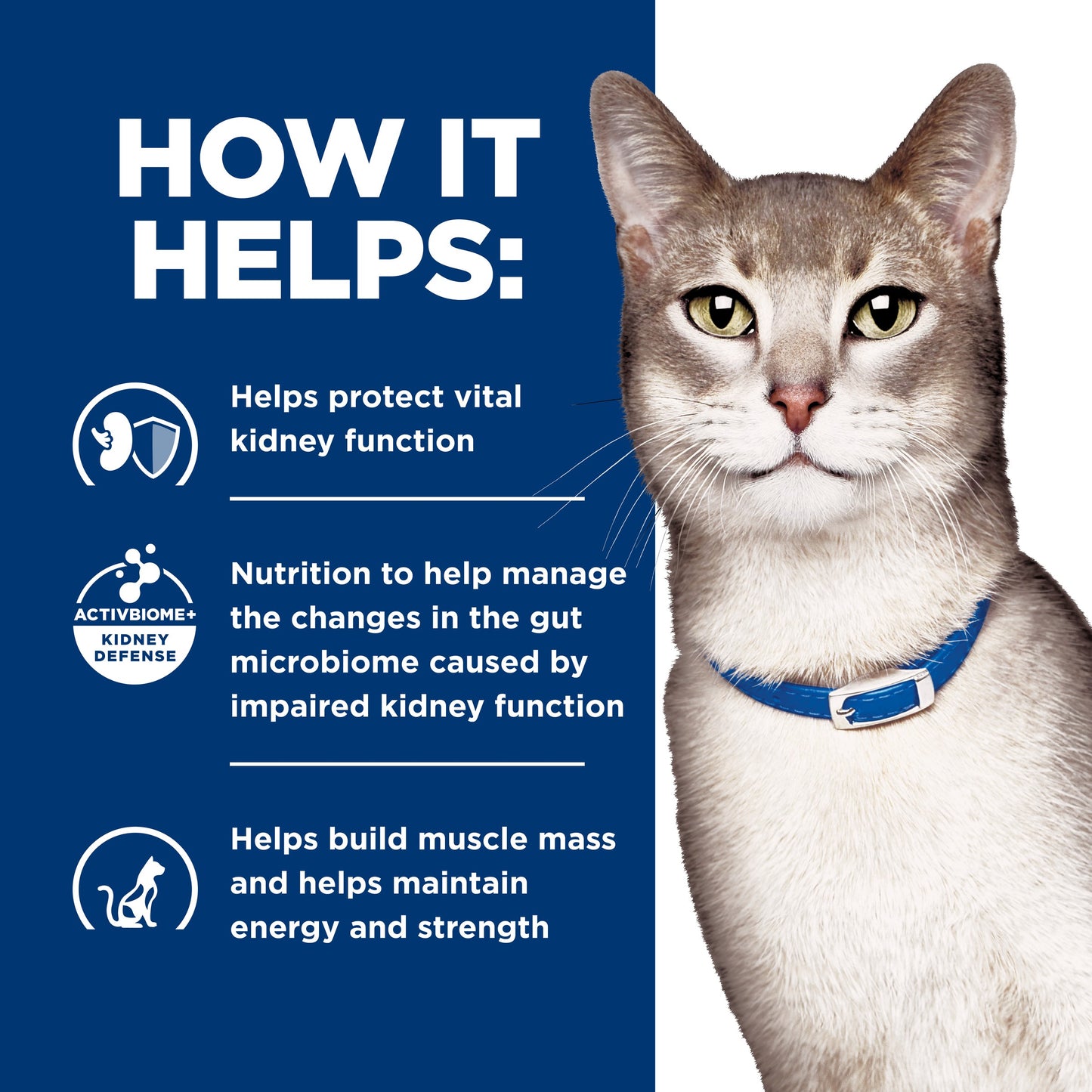 Hill's Prescription Diet k/d Kidney Care Chicken Dry Cat Food