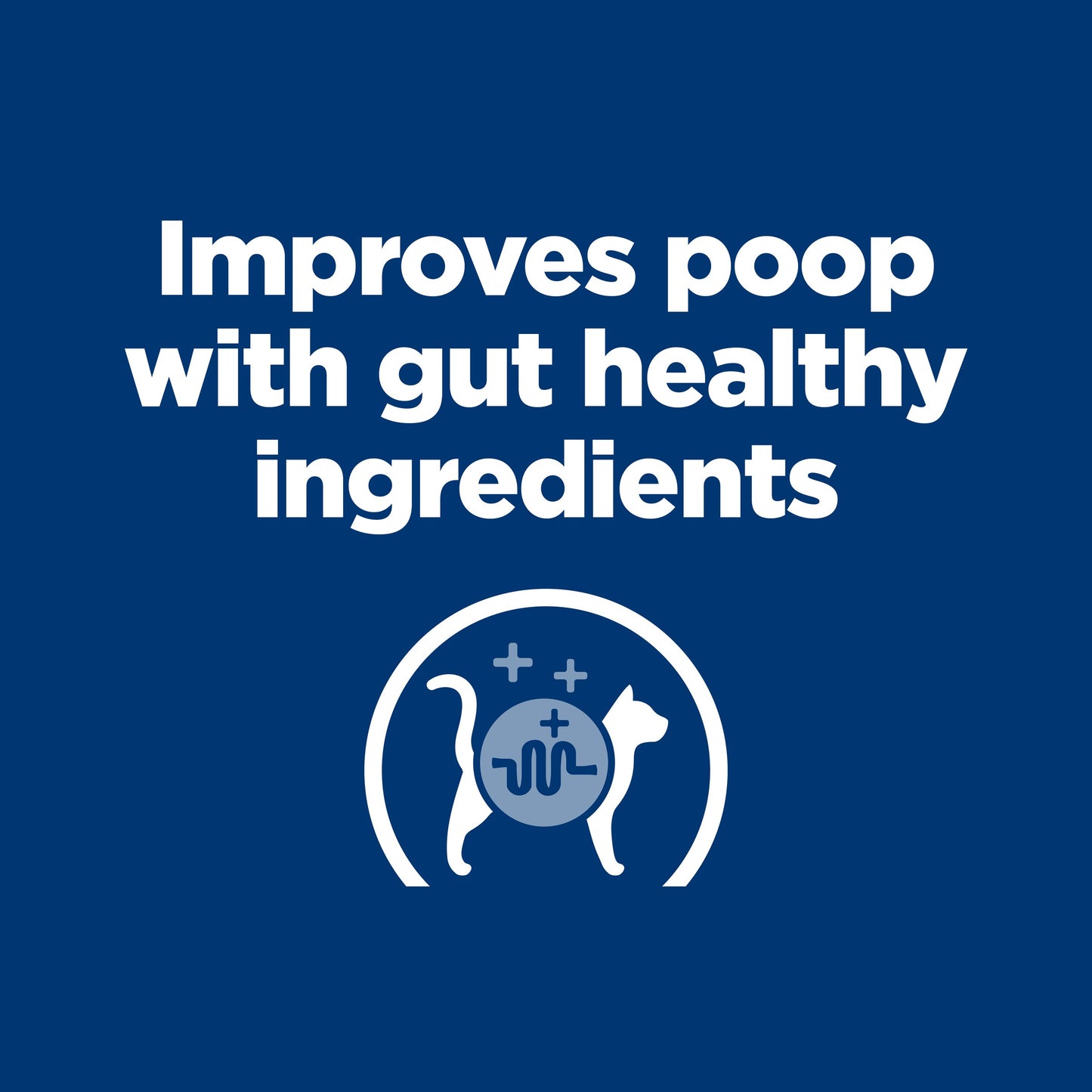 Hill's Prescription Diet z/d Skin & Food Sensitivities Dry Cat Food