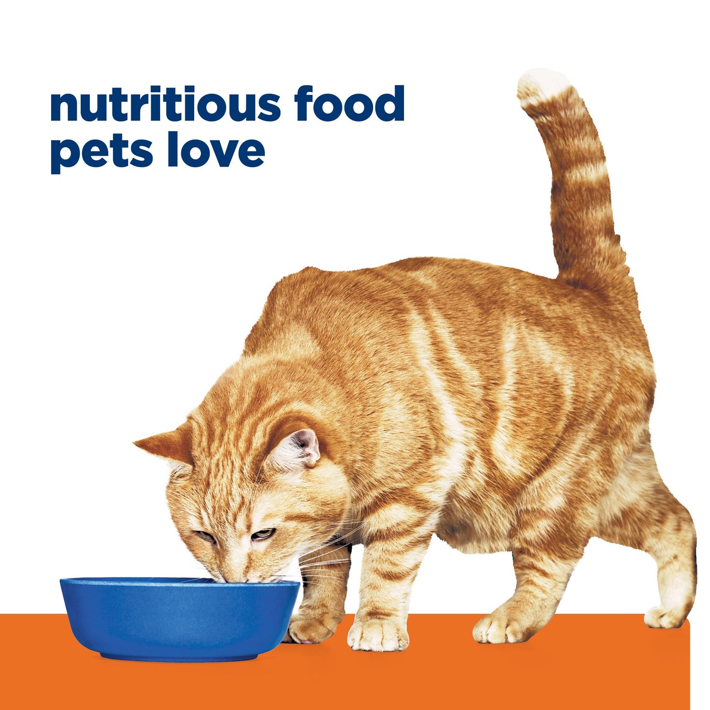 Hill's Prescription Diet c/d Multicare Urinary Care with Chicken Dry Cat Food