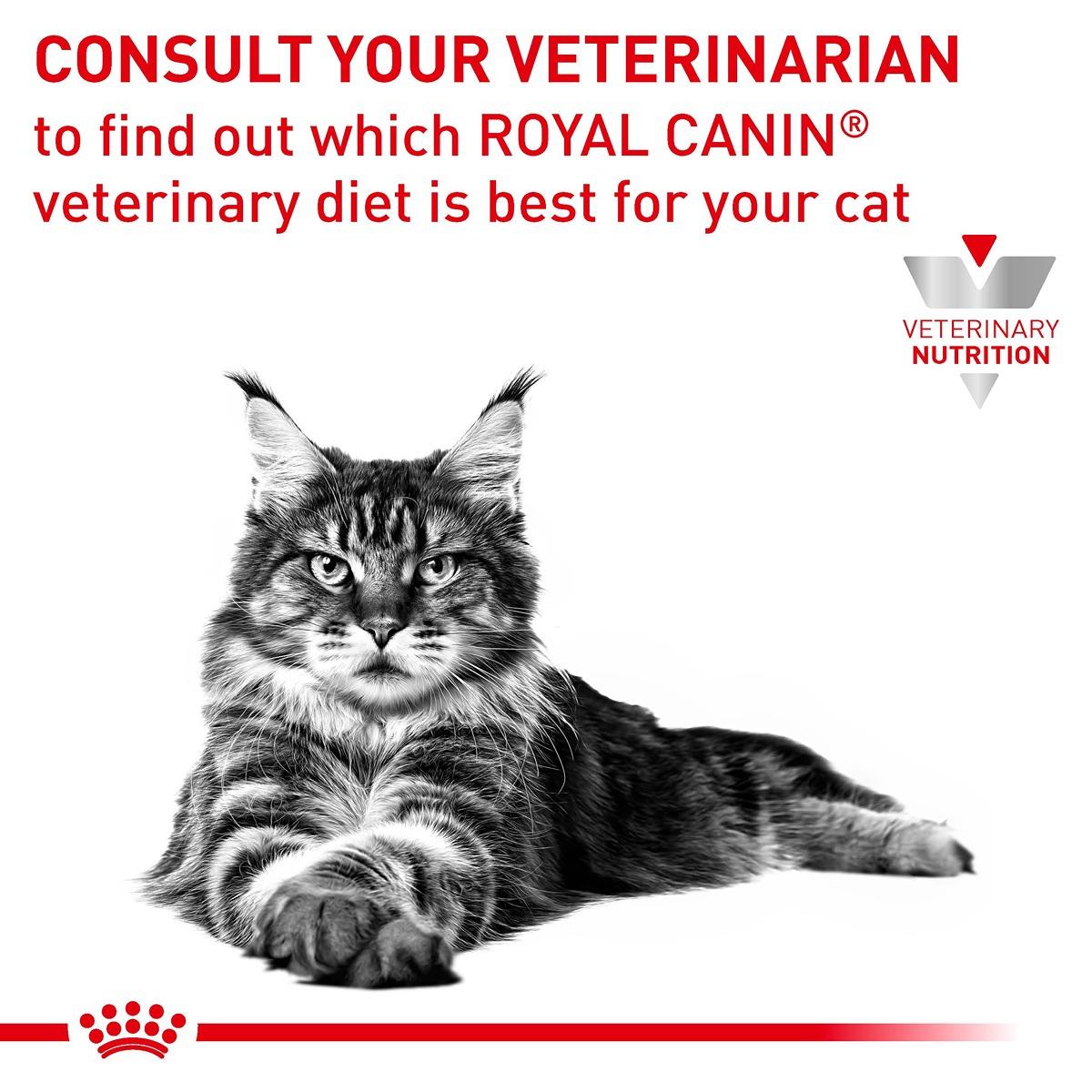 Royal Canin Vet Feline Urinary S/O Dry Cat Food