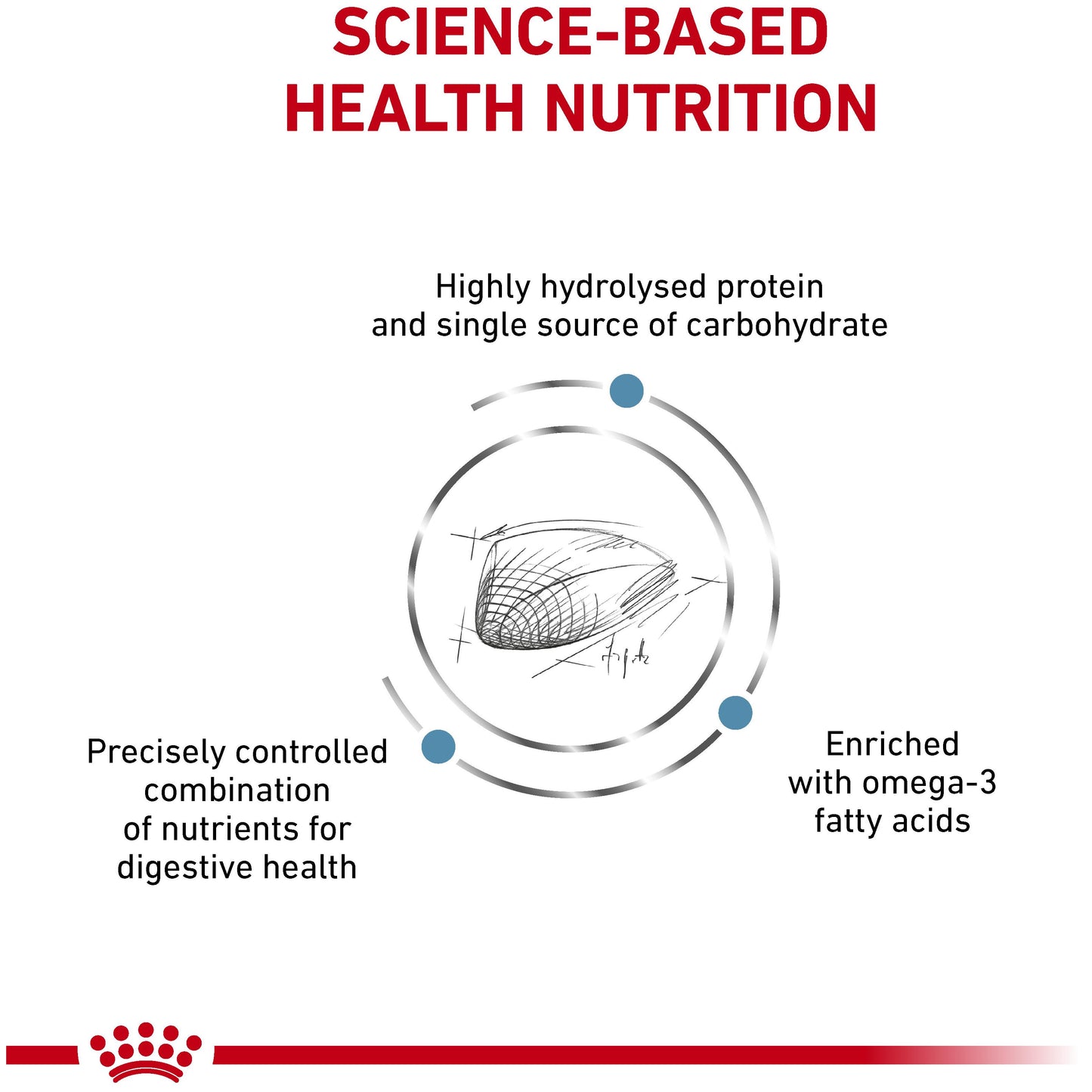 Royal Canin Veterinary Diet Hypoallergenic Dry Cat Food