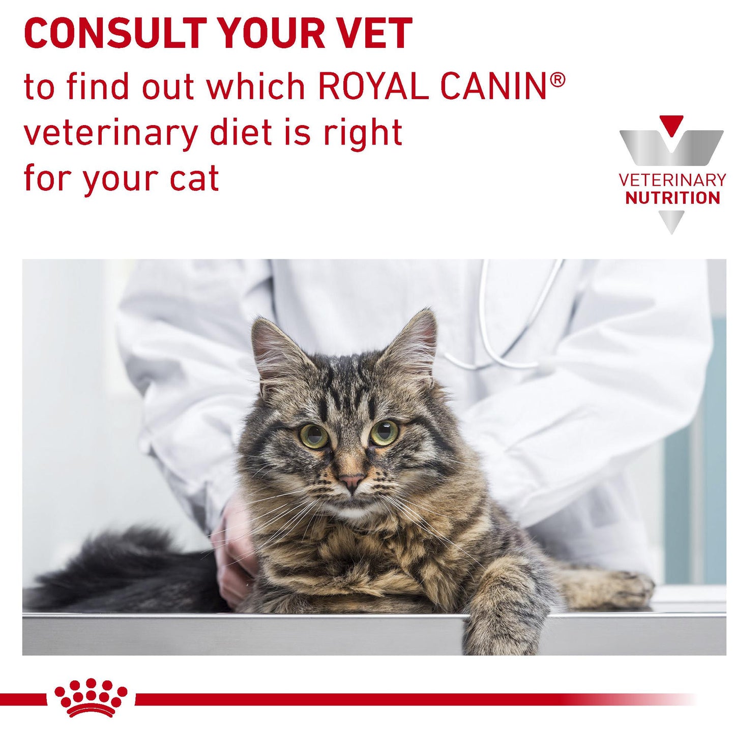 Royal Canin Veterinary Diet Hypoallergenic Dry Cat Food