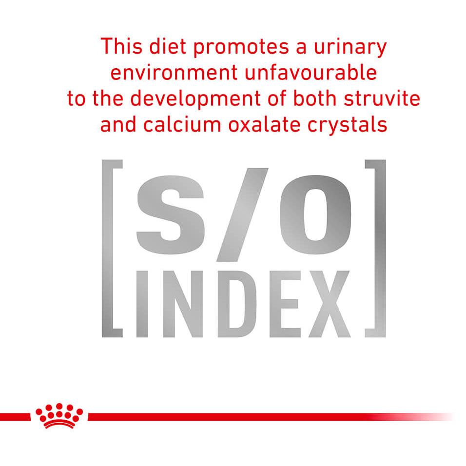 Royal Canin Veterinary Diet Hypoallergenic Dry Cat Food