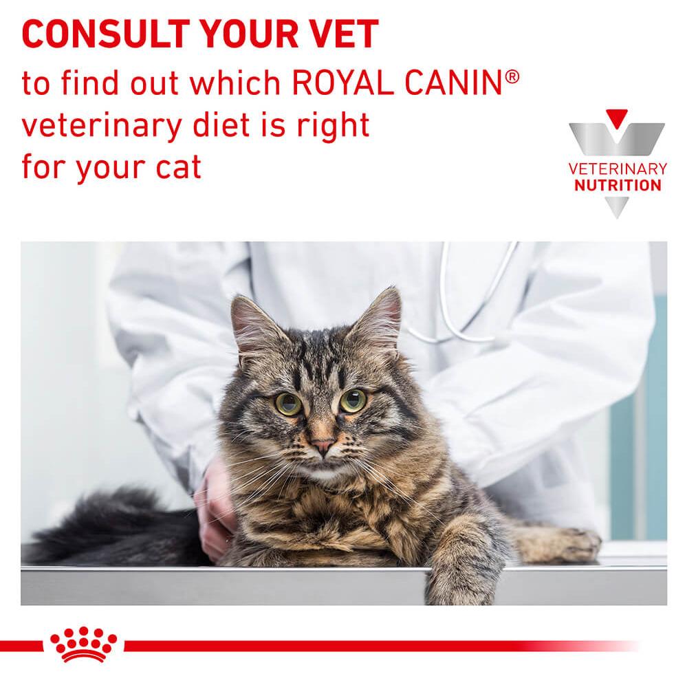 Royal Canin Veterinary Diet Hypoallergenic Dry Cat Food