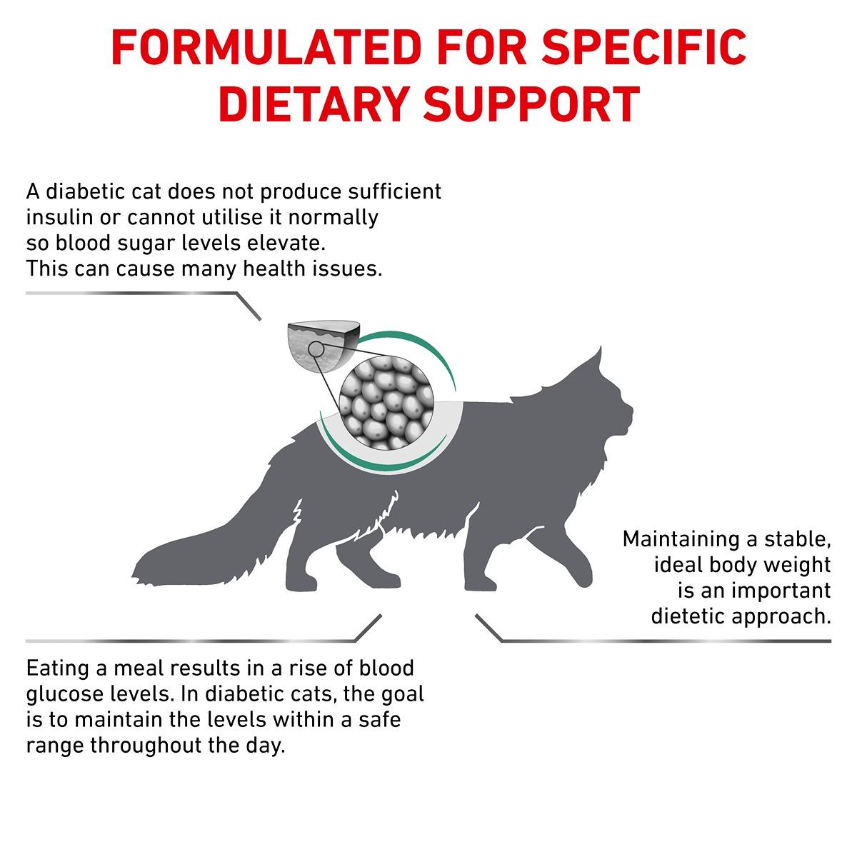 Royal Canin Veterinary Diet Diabetic Dry Cat Food