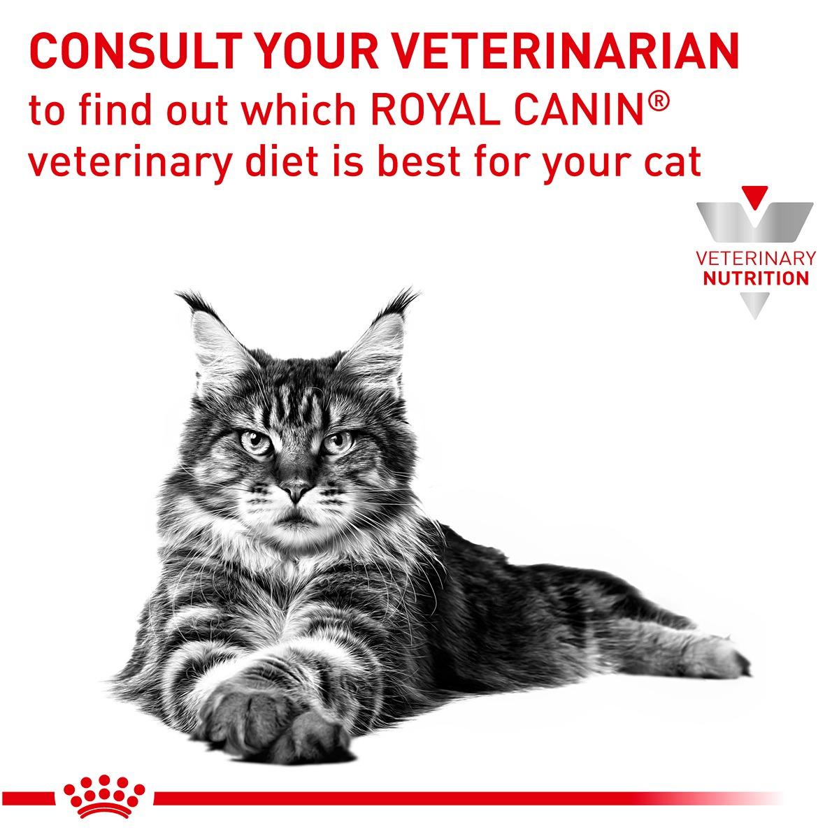 Royal Canin Veterinary Diet Diabetic Dry Cat Food