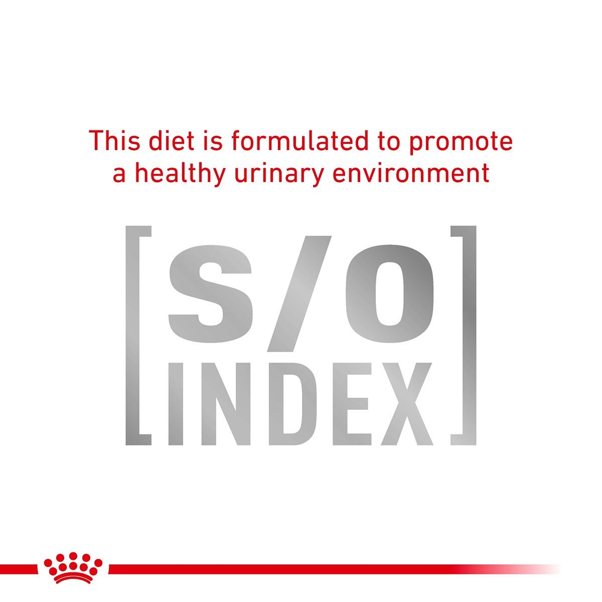 Royal Canin Vet Feline Urinary S/O Dry Cat Food