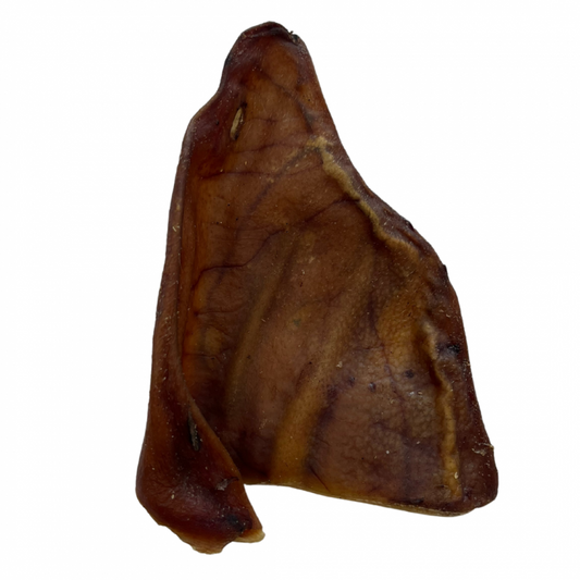 Pig Ear