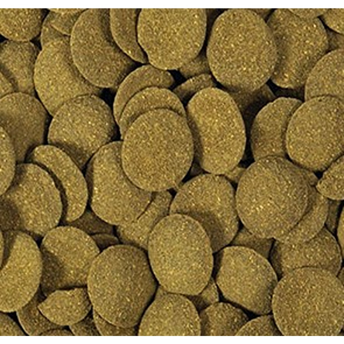Hikari Tropical Algae Wafers