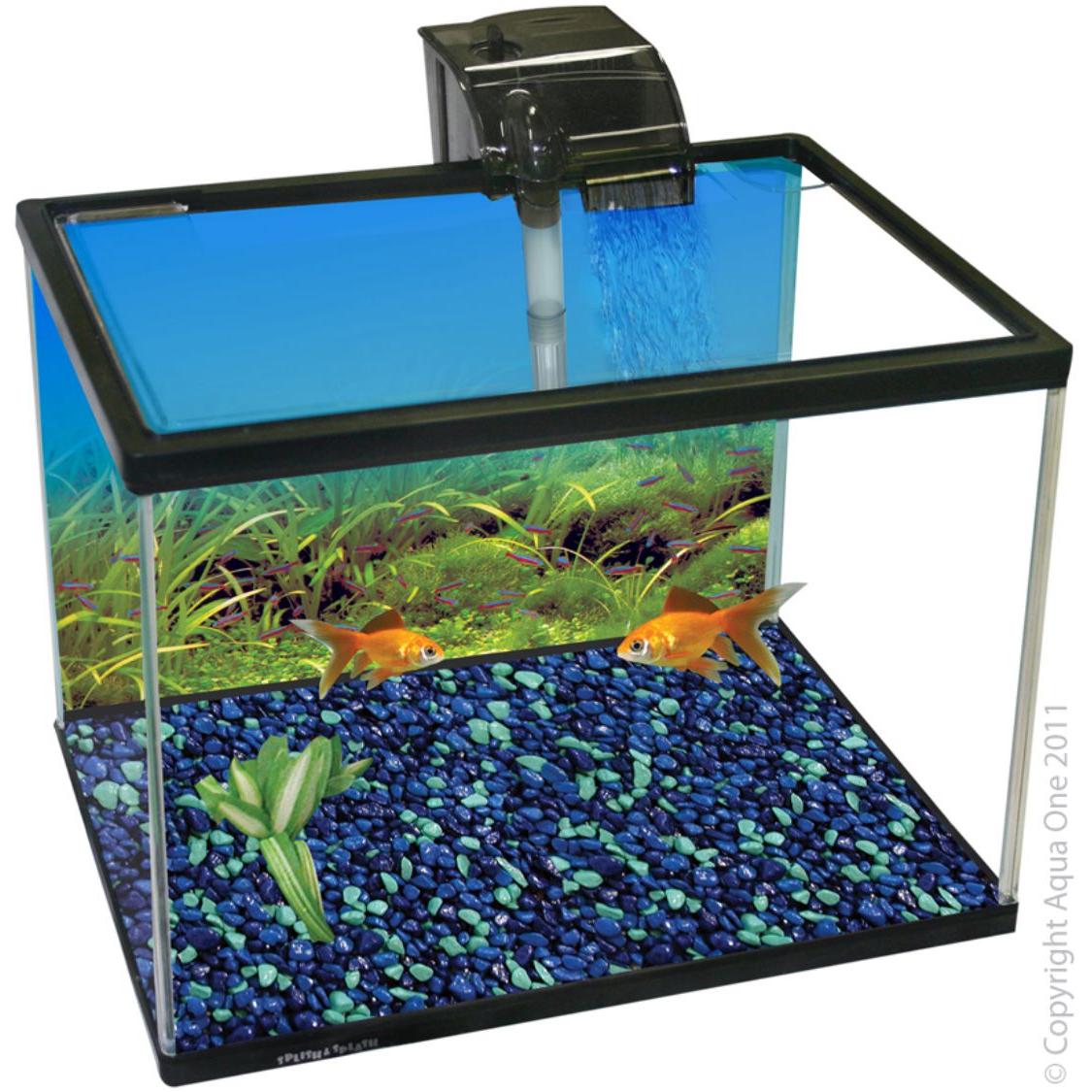 Aqua One Splish & Splash Starter Kit