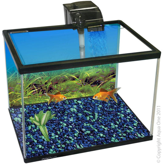 Aqua One Splish & Splash Starter Kit