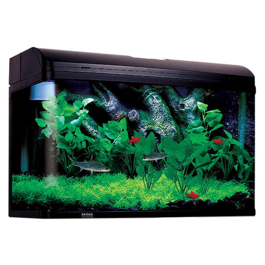AquaStyle Aquarium Black