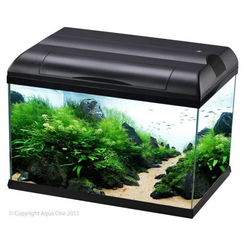 Aqua One Ecostyle Aquarium