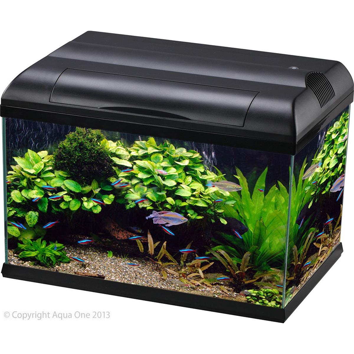 Aqua One Ecostyle Aquarium