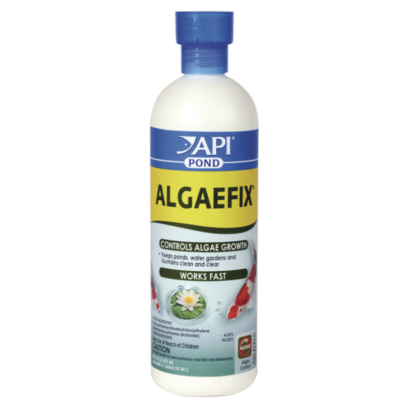 API Pond Algaefix