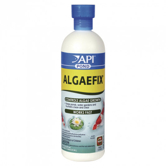 API Pond Algaefix
