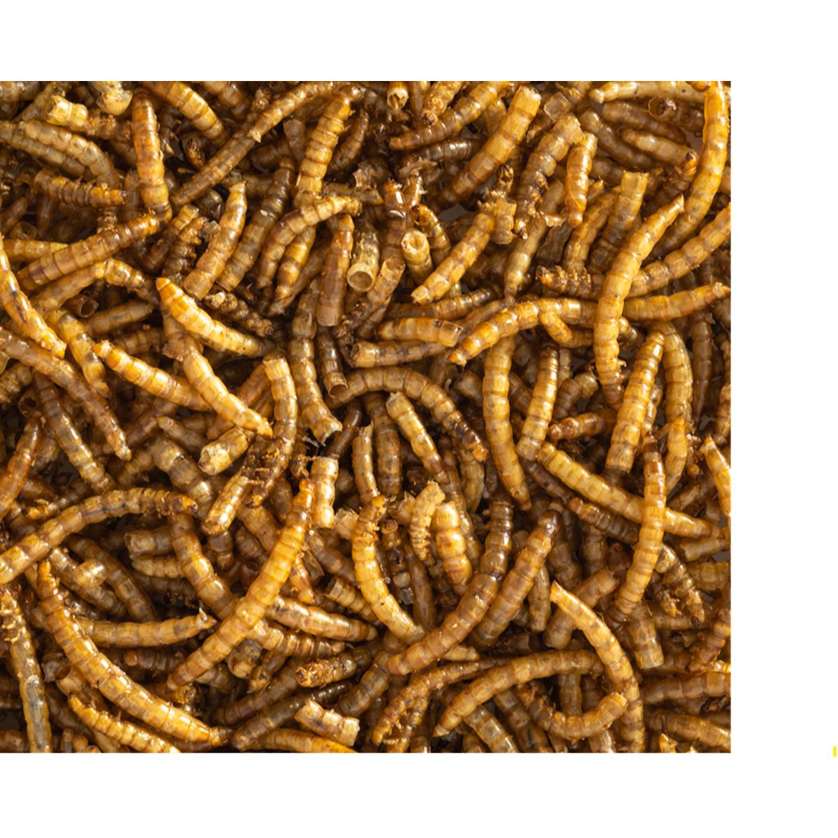 Topflite Dried Mealworms