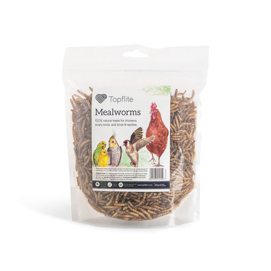 Topflite Dried Mealworms