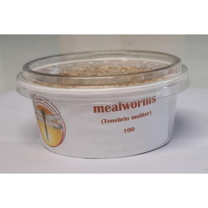 Bio Suppliers Live Meal Worms