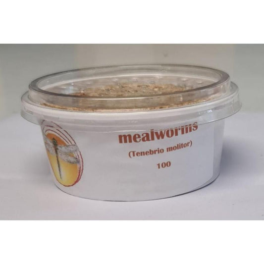 Bio Suppliers Live Meal Worms