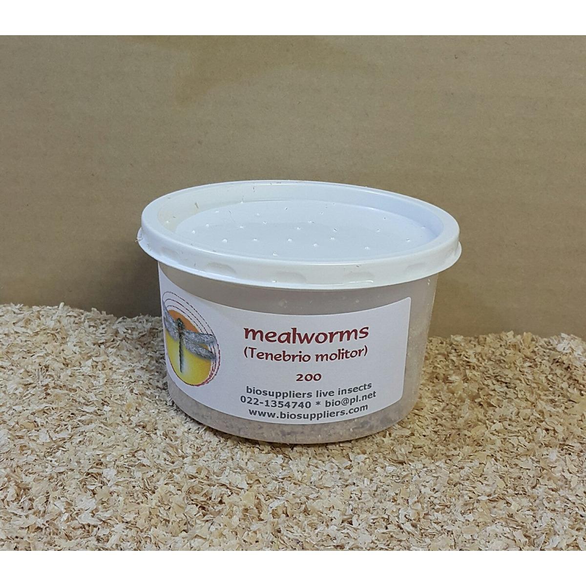 Bio Suppliers Live Meal Worms