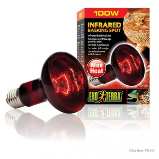 Exo Terra Heat Glo Infrared Heat Lamp