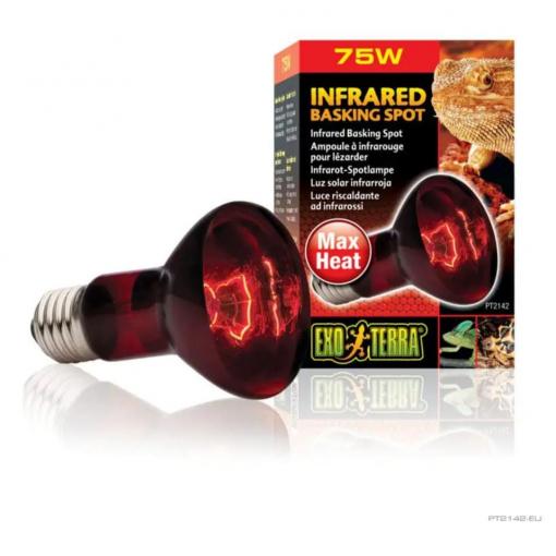 Exo Terra Heat Glo Infrared Heat Lamp