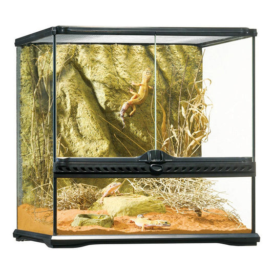 Exo Terra All Glass Wide Terrarium