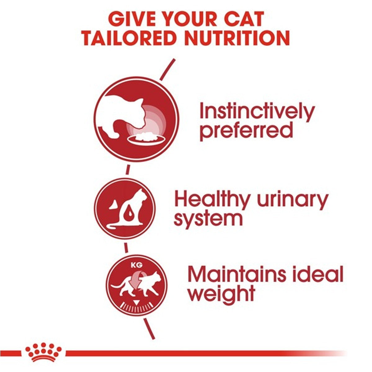 Royal Canin Instinctive Adult Jelly Wet Food