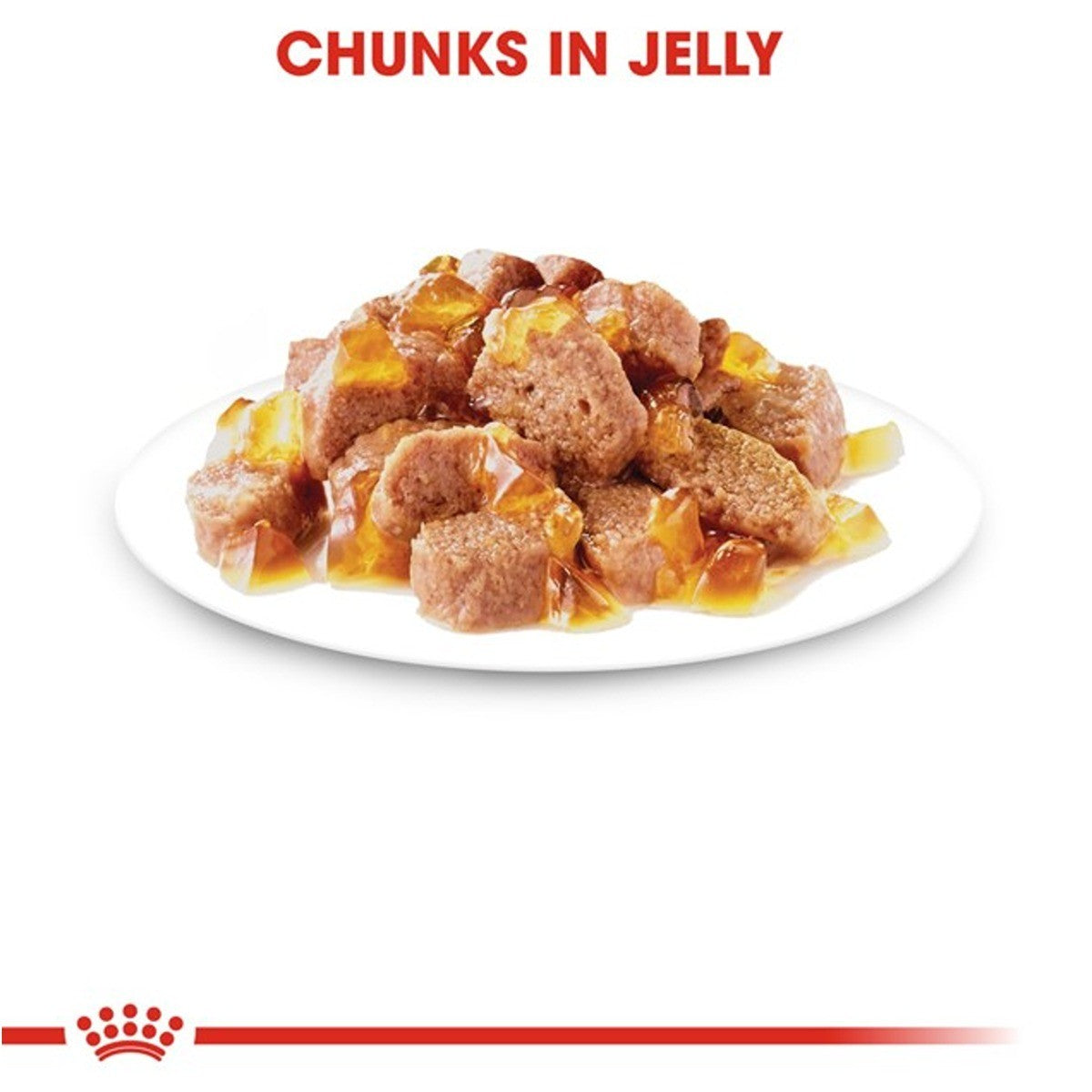 Royal Canin Instinctive Adult Jelly Wet Food