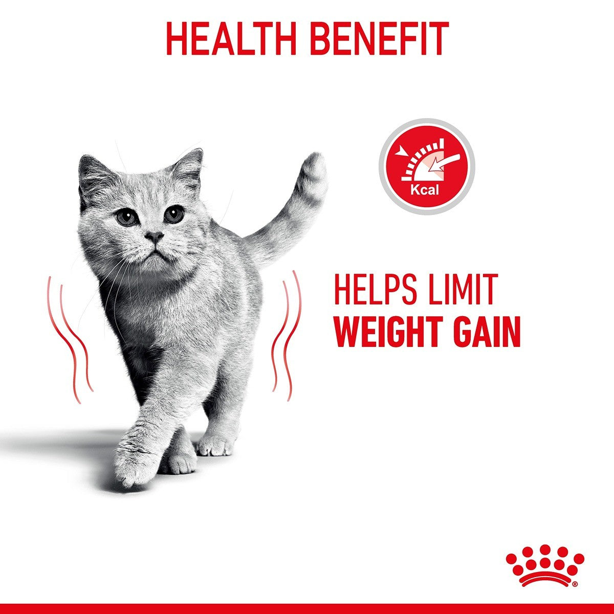 Royal Canin Light Weight Care in Gravy Wet Cat Food