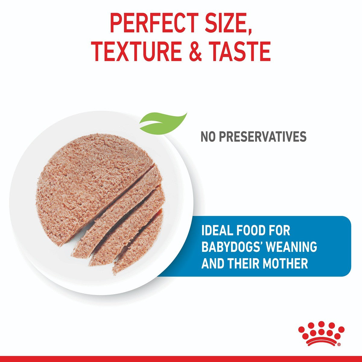 Royal Canin Mother & Babydog Starter Mousse Wet Dog Food