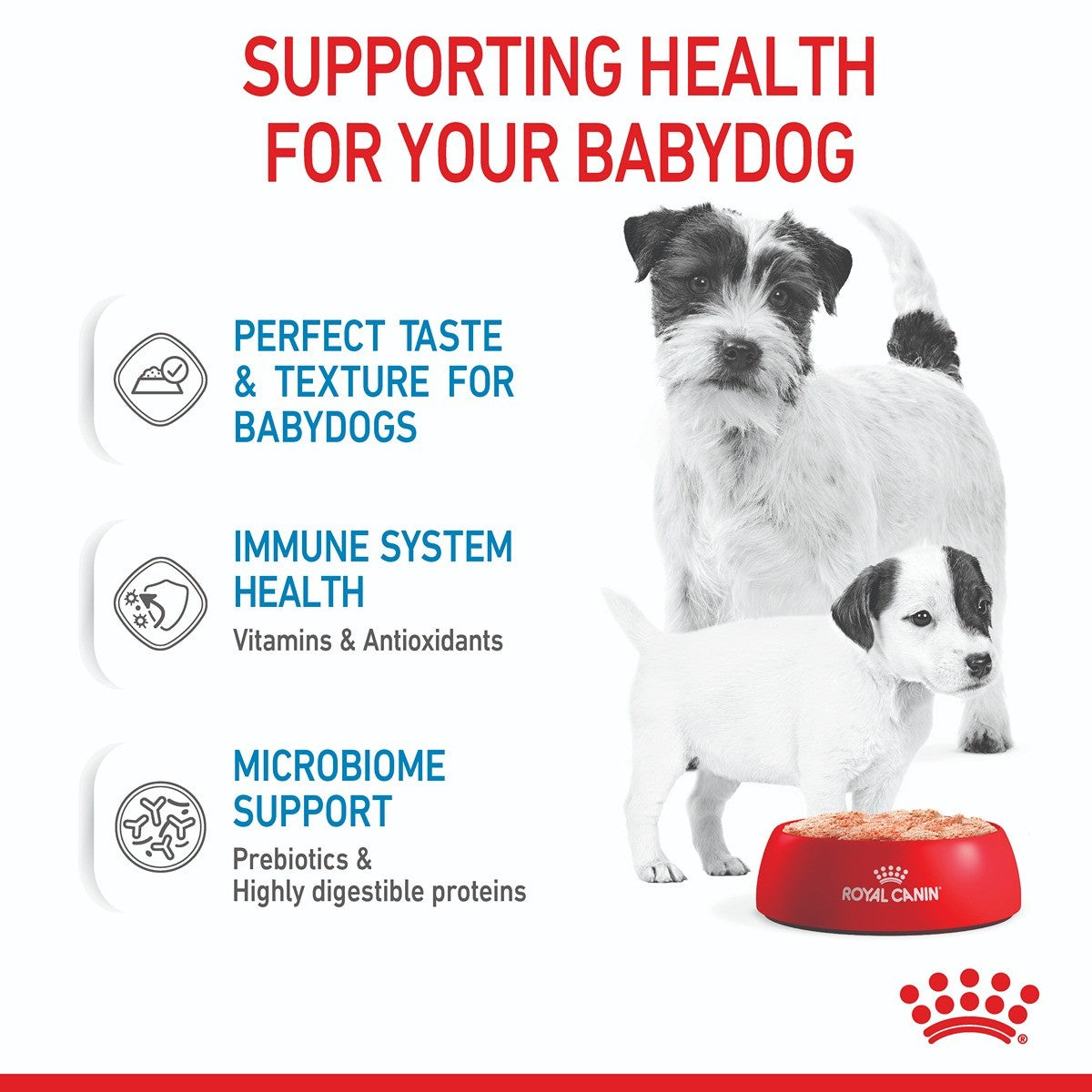 Royal Canin Mother & Babydog Starter Mousse Wet Dog Food